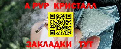 шишки Краснознаменск