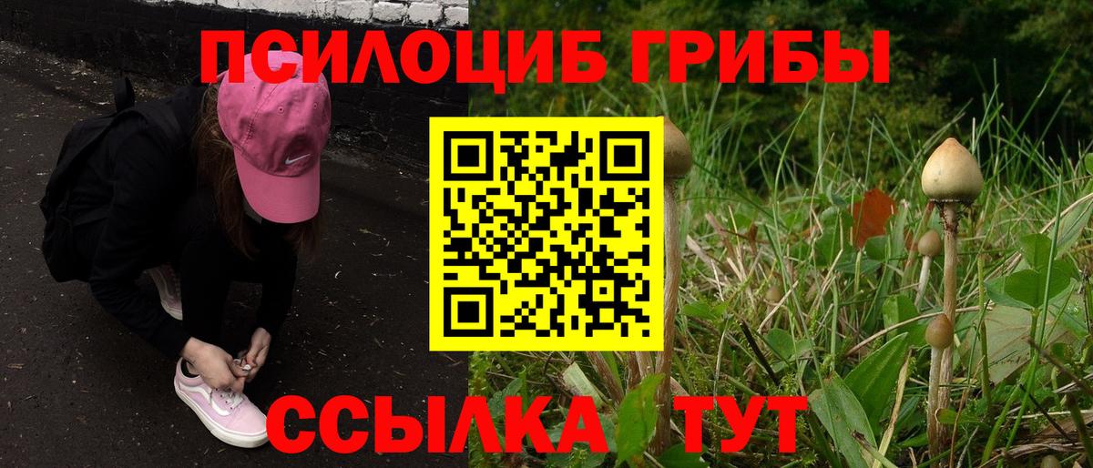 Галлюциногенные грибы мицелий Хабаровск